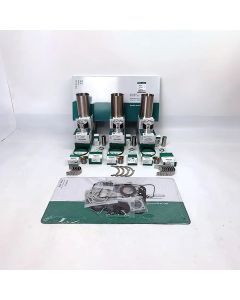 Complete Engine Rebuild Kit for Kubota L225 D1100