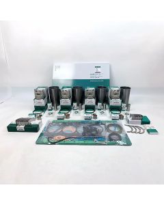 Comprehensive Rebuild Kit for Liebherr R924 Engine